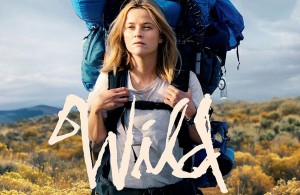 avis-film-wild
