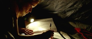 film wild critique