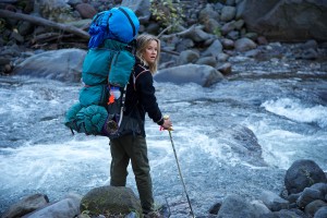 film wild avis