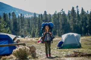wild film avis