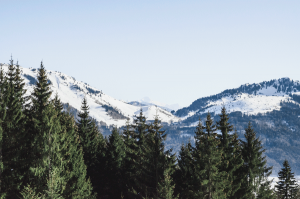 mont-blanc-vallee-verte