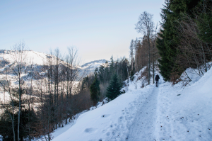 rando-raquette-haute-savoie