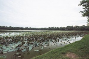 sai ngam phimai