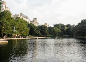 Central Park, New York