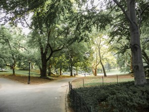 Central Park, New York