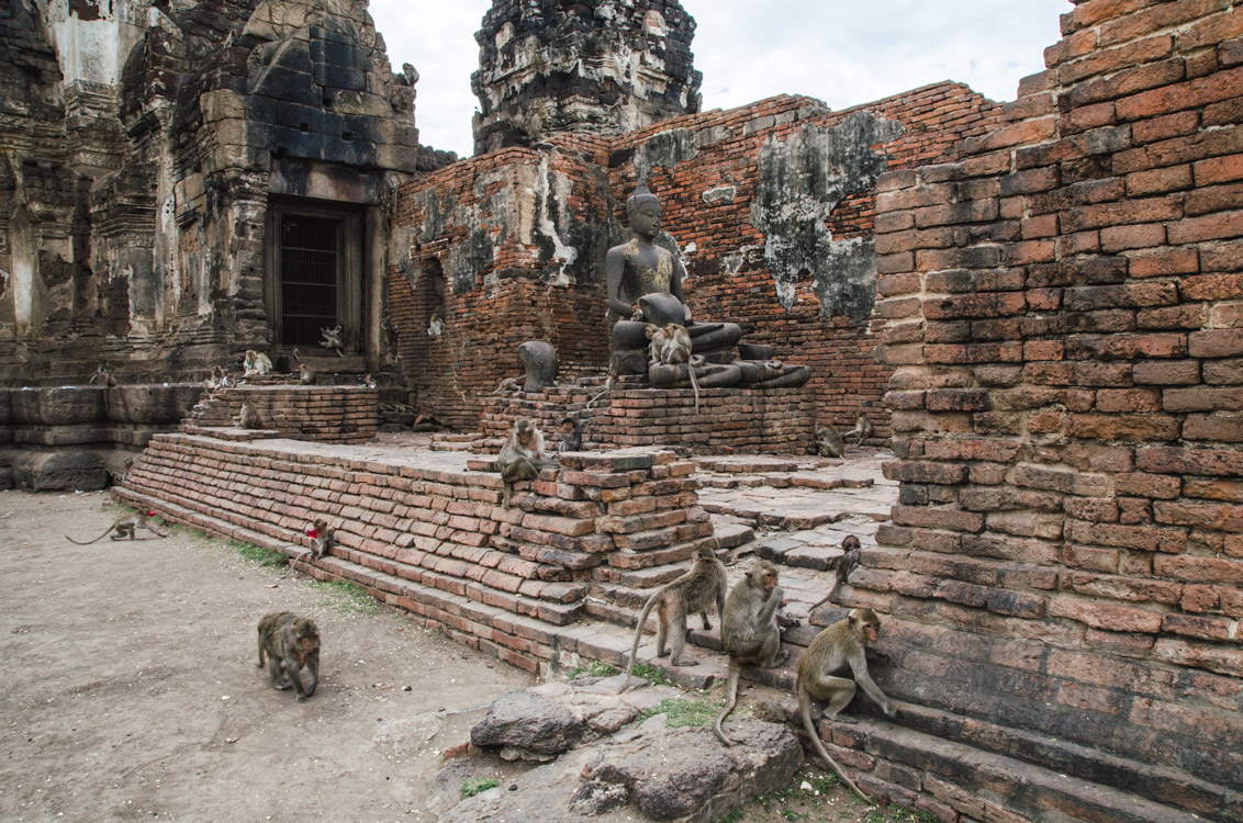 Temple et singes à Lopburi