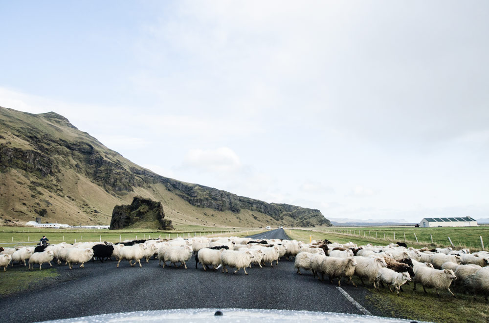 Les routes d'Islande
