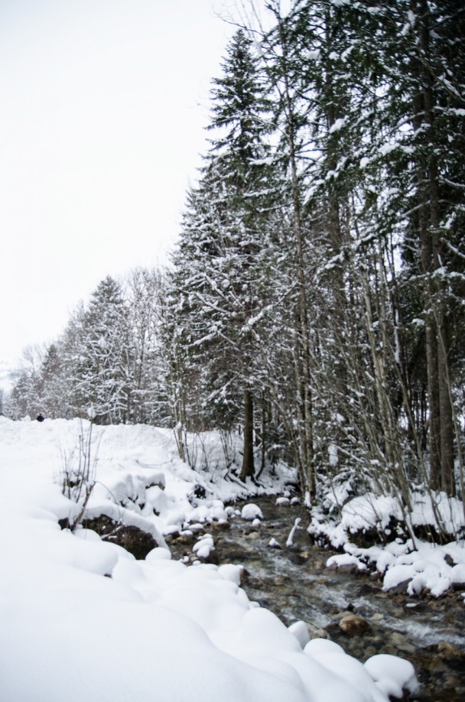 montagne-en-hiver-bernex11