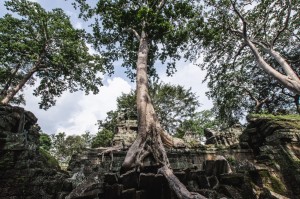 Ta phrom