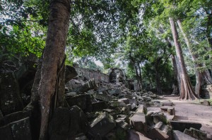 Les ruines de Ta Phrom