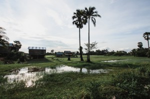 paysage cambodgien