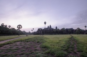 Angkor Wat rose, Cambodge
