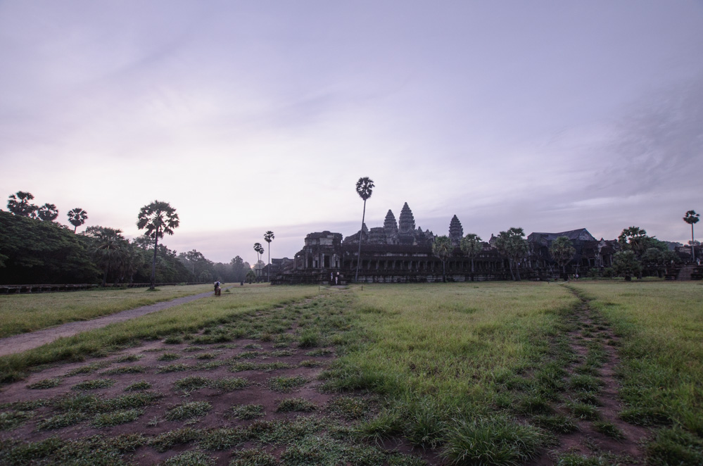 Angkor Wat rose, Cambodge