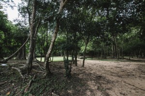 carnet de voyage cambodgien