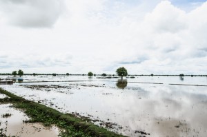 un paysage cambodgien