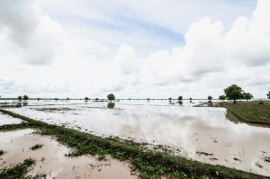 Paysage du cambodge